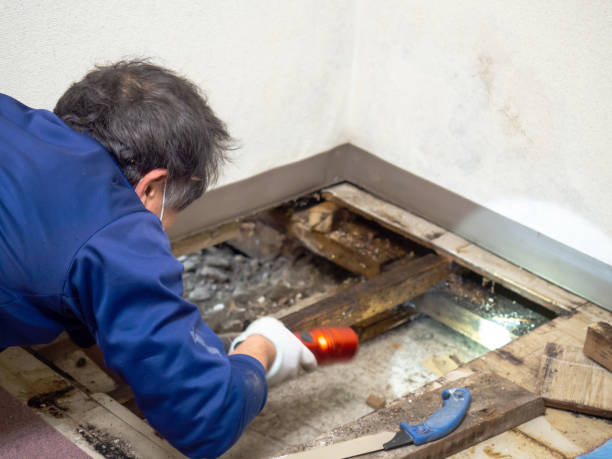 Best Mold Testing  in Monticello, IN