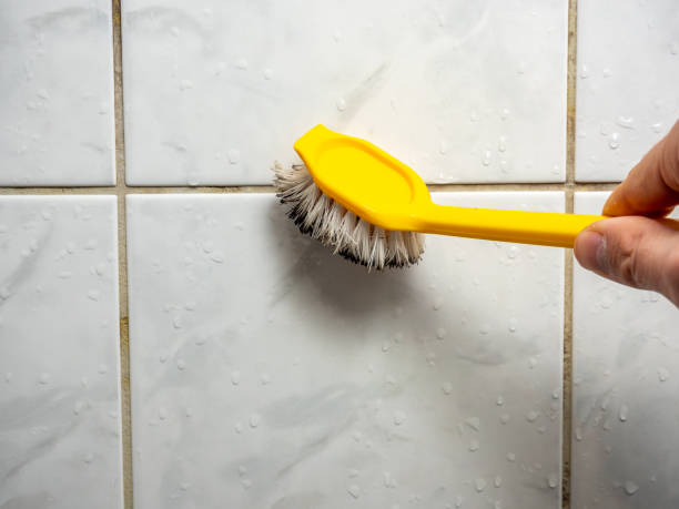 Best Local Mold Removal Service  in Monticello, IN