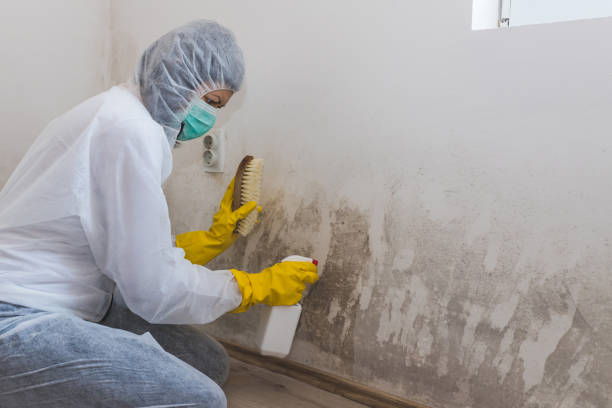 Water Damage Restoration in Monticello, IN