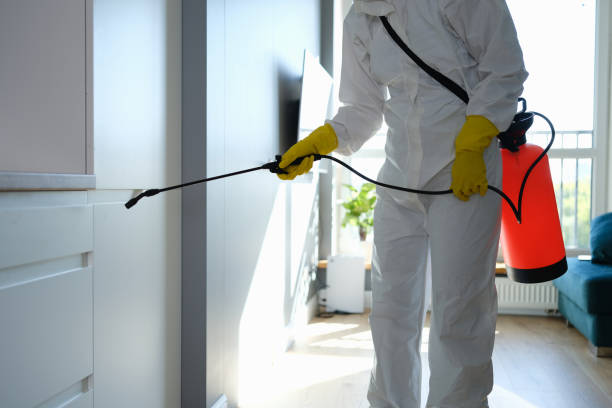 Best Mold Remediation  in Monticello, IN