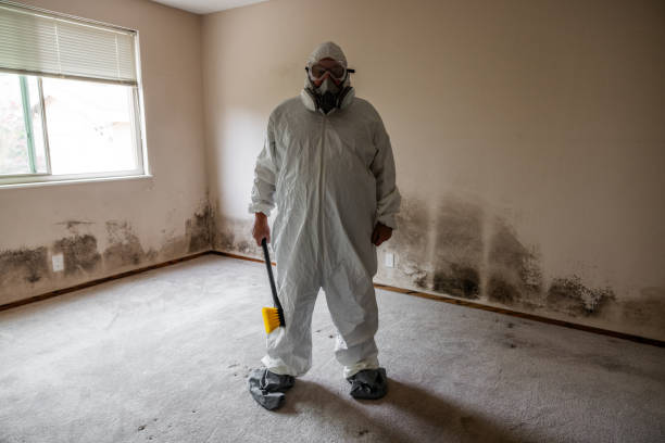 Best Attic Mold Removal  in Monticello, IN